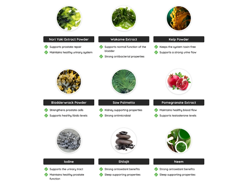 Prostadine Ingredients